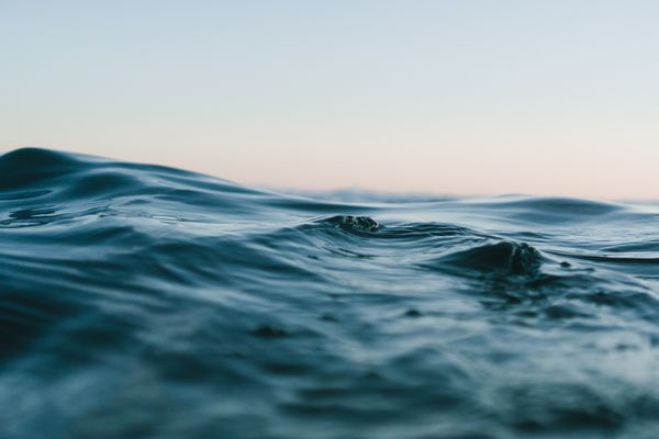How we're damaging our ocean & what we can do about it | Cheltenham Science Festival 2020
